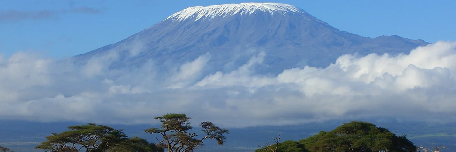 WhatsApp Image 2026-01-22 at 17.07.37 1 (1).webp